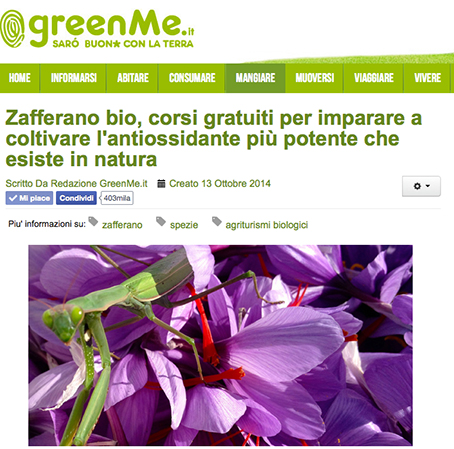 GreenMeSantEgle2.jpg